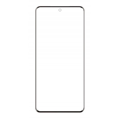 Front Glass for Vivo V40e 5G - Bronze by Sparestream