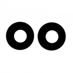 Camera Lens for Vivo iQOO Neo 6 5G Black by Sparestream